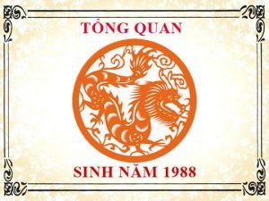 Nam Sinh Nam 1988 Hop Huong Nao