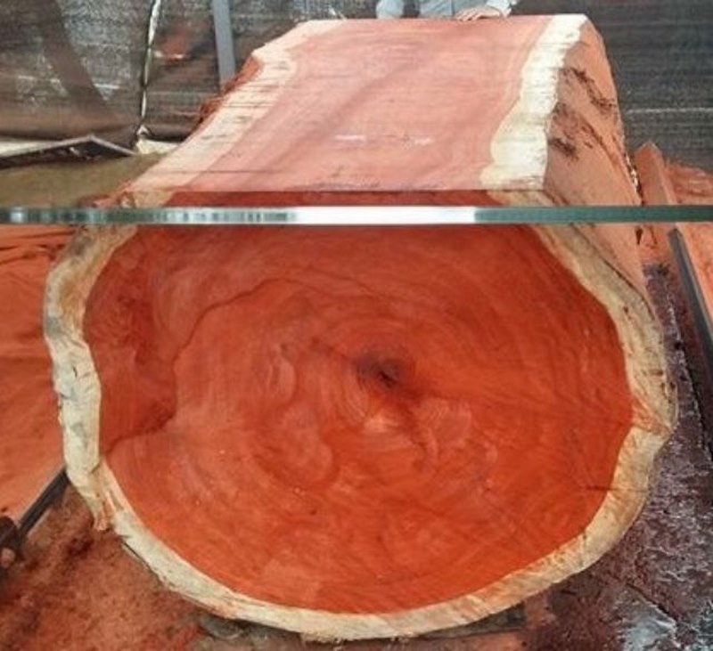gỗ đinh hương