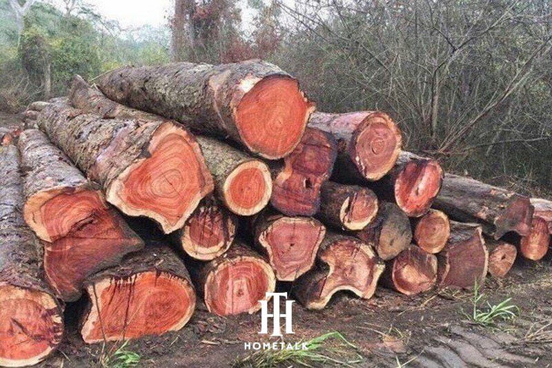 gỗ hương