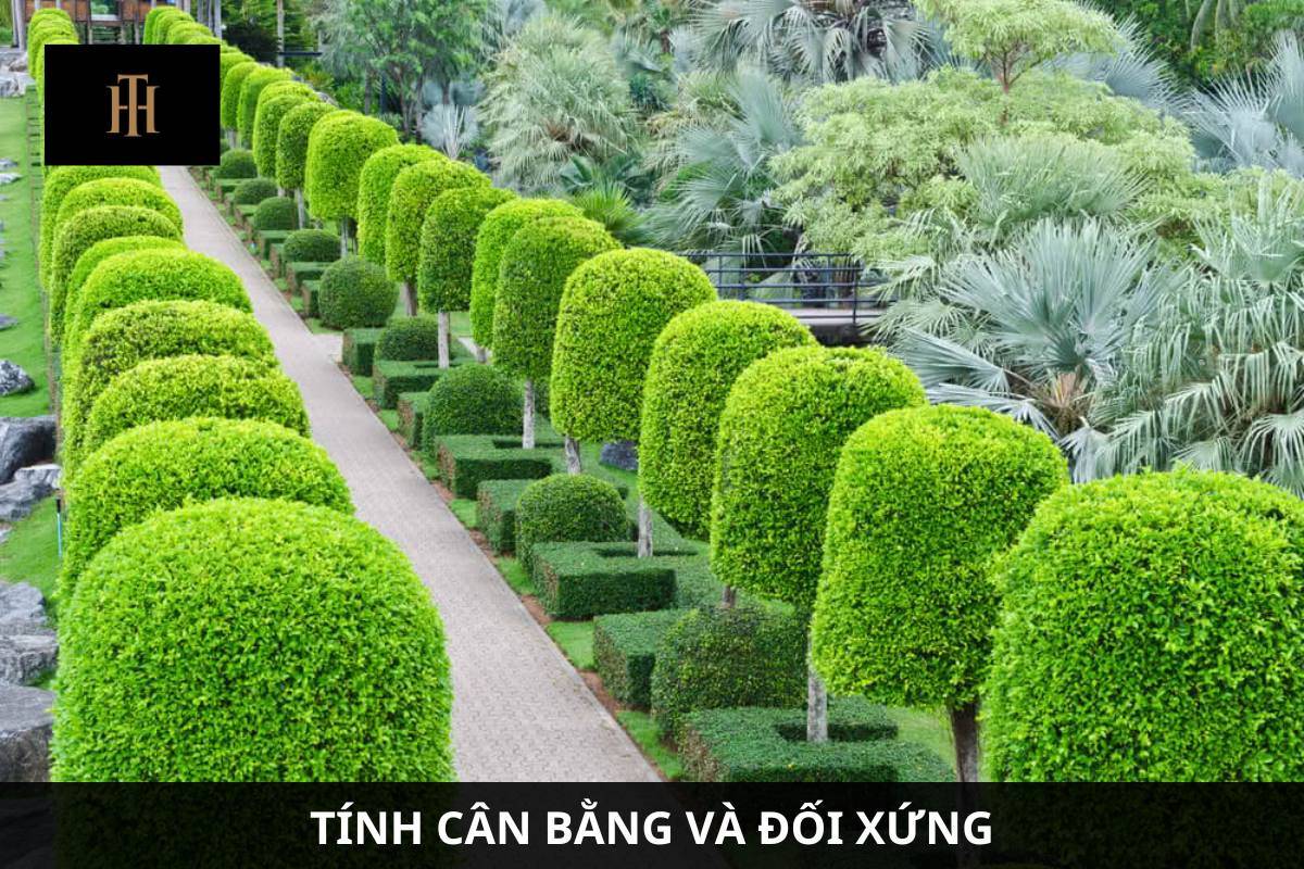 tinh doi xung hoan hao cua hang cay xanh mang ve dep vuot thoi gian trong thiet ke san vuon