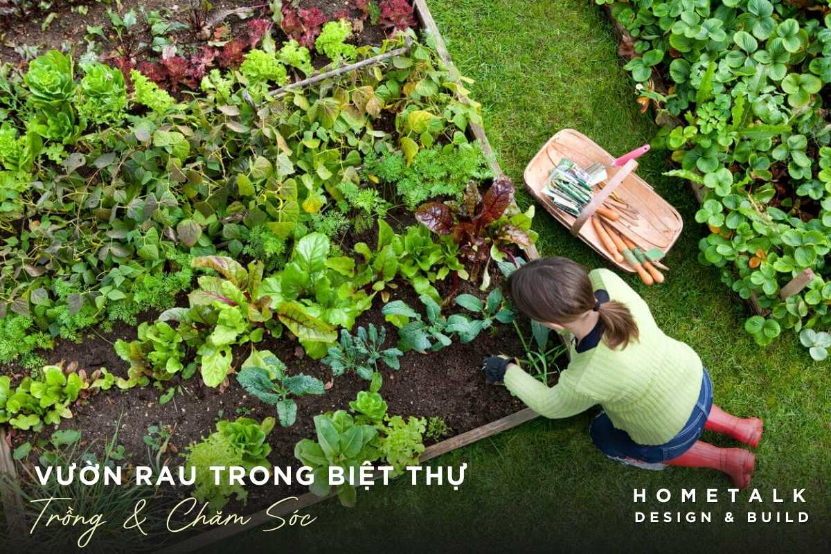 Bật Mí 4 Mẫu Vườn Rau Trong Biệt Thự Sạch, đẹp Hút Hồn