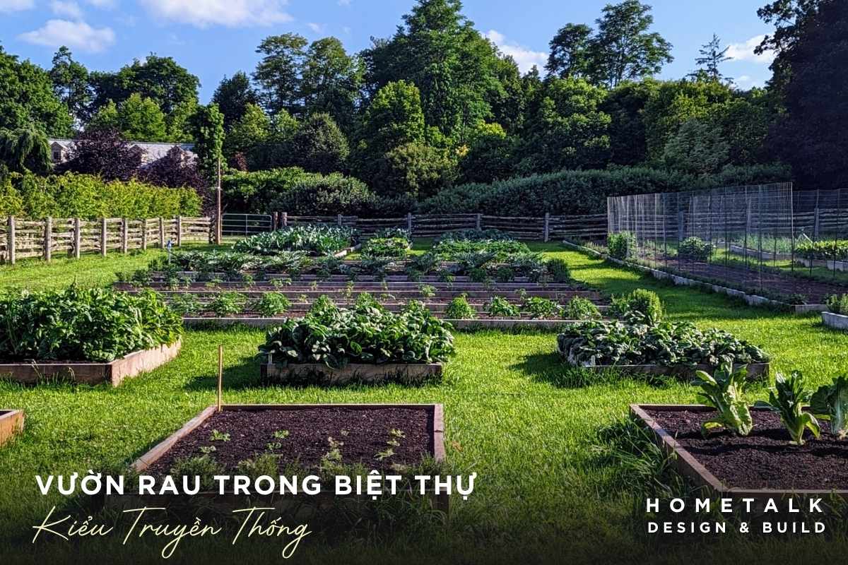 Bật Mí 4 Mẫu Vườn Rau Trong Biệt Thự Sạch, đẹp Hút Hồn