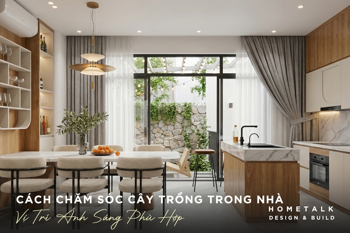 Cách đặt cây trồng trong nhà ở vị trí có ánh sáng phù hợp Cach dat cay trong trong nha o vi tri co anh sang phu hop