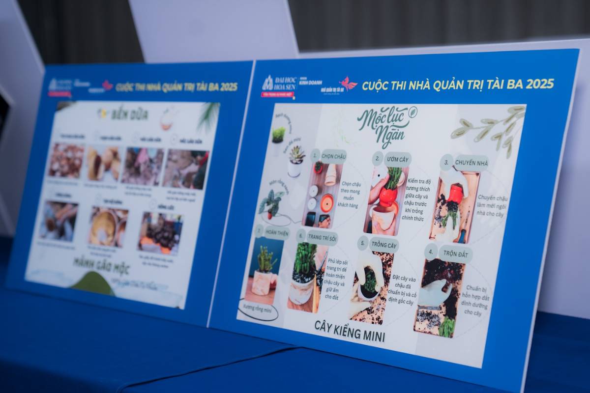 du an cay kieng mini voi huong dan trong trot chi tiet