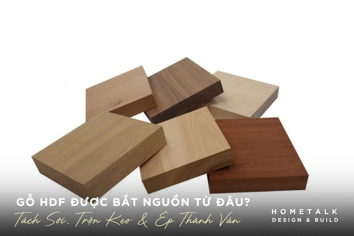 Nguồn gốc hình thành ra gỗ HDF Nguon goc hinh thanh ra go HDF