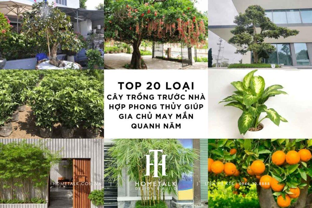 Top 20 loại cây trồng trước nhà tốt, thu hút tài lộc, hợp phong thủy 3 Top 20 loại cây trồng trước nhà hợp phong thủy